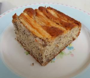 14316721_1284909791529237_8931575513329724767_n