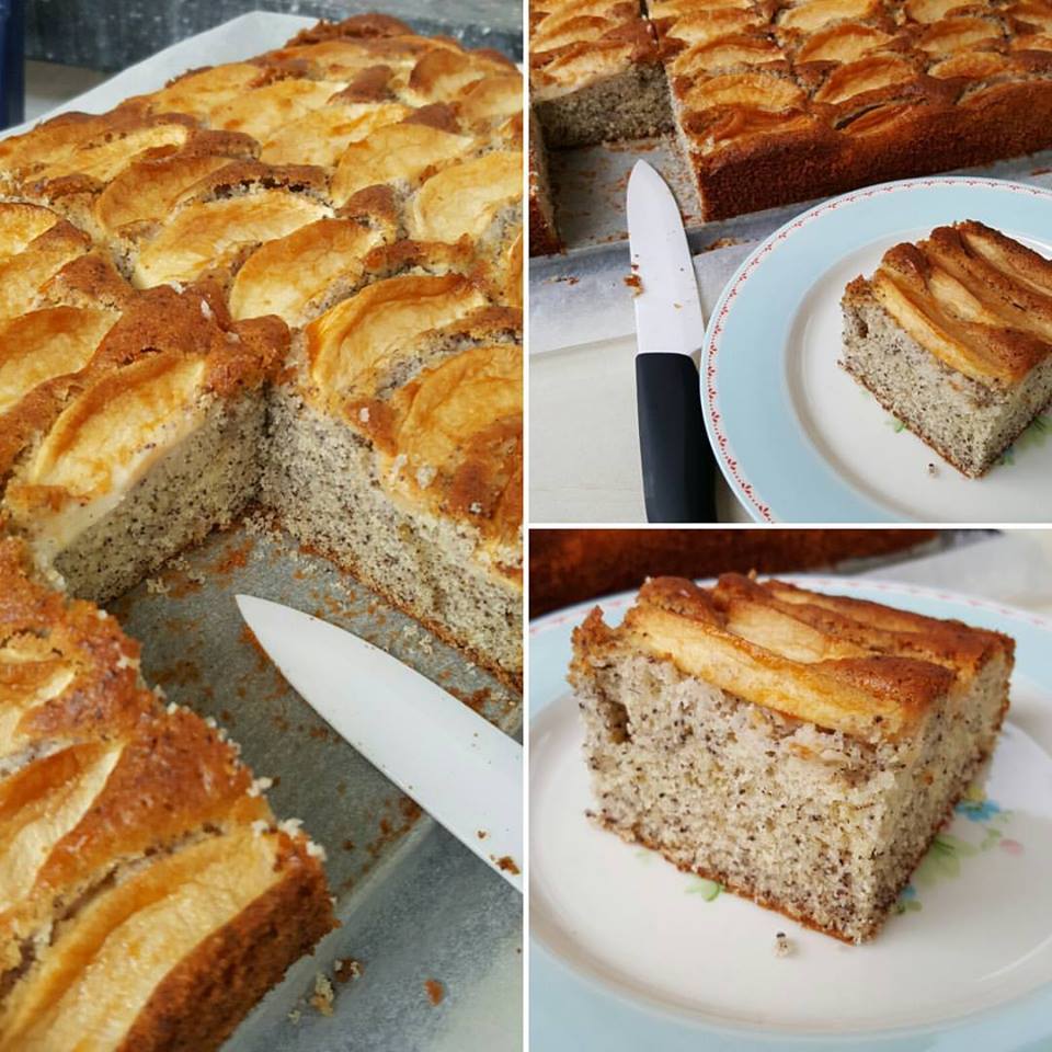 14368861_1284908851529331_3625175889994367499_n