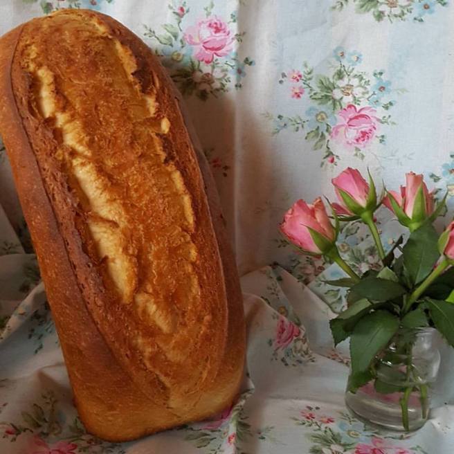 16387172_1430178680335680_297293071387343187_n