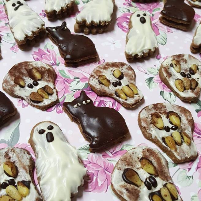 22552866_1513512858724801_109725980784462559_n