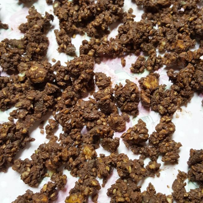 25630793_1762602257093319_977166038_n